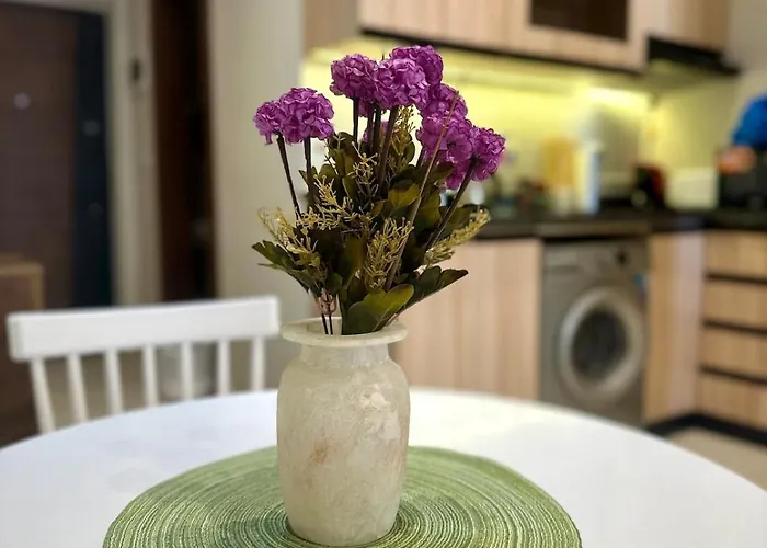 Apartman Sea View Marina Gurdaka